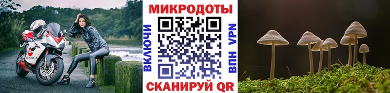 Псилоцибиновые грибы GOLDEN TEACHER  Красноармейск 